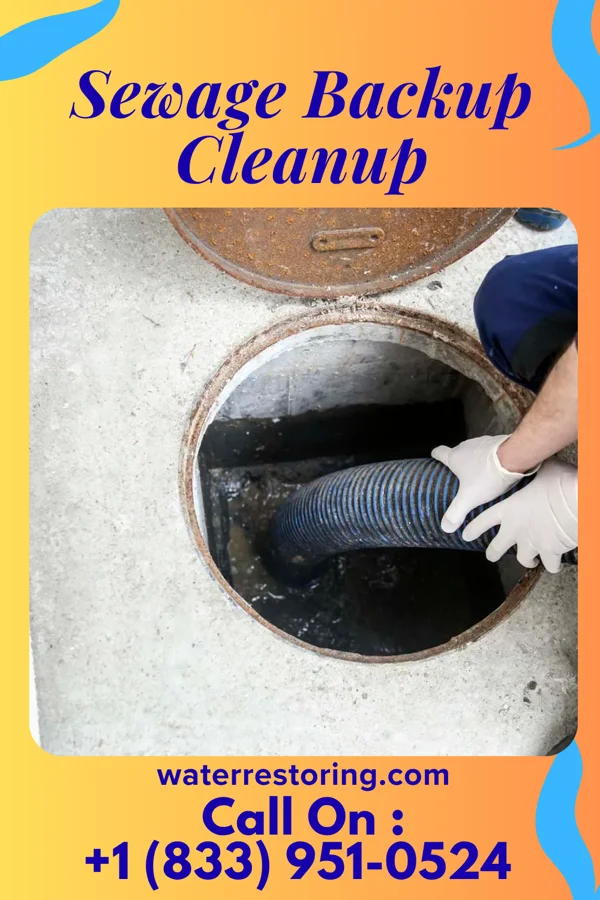 Sewage Backup Cleanup in Humnoke, AR